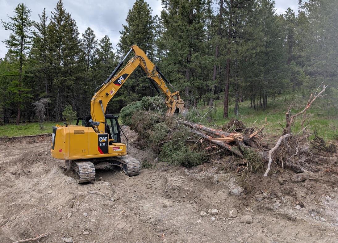 Tree stump removal Tree stump removal